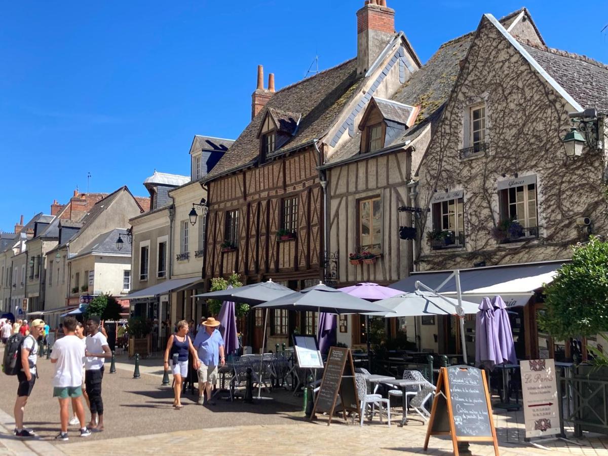 L'Amboisienne, Au Pays Des Chateaux Villa Amboise Buitenkant foto